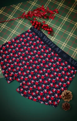 Sous-vêtements & Nuit<Armand Thiery Boxer kad - Marine