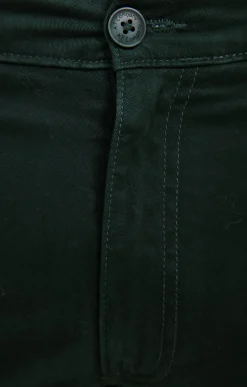 Pantalons<Armand Thiery Pantalon chino Winter - Sapin