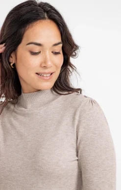 Pulls & Cardigans<Armand Thiery Pull col montant - Taupe